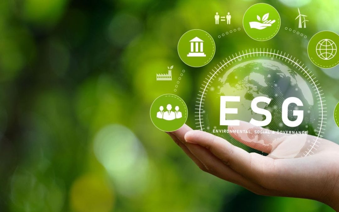 Checklist for a successful ESG audit